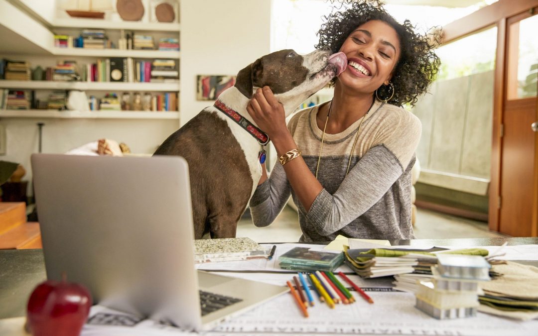 Tips for working from home